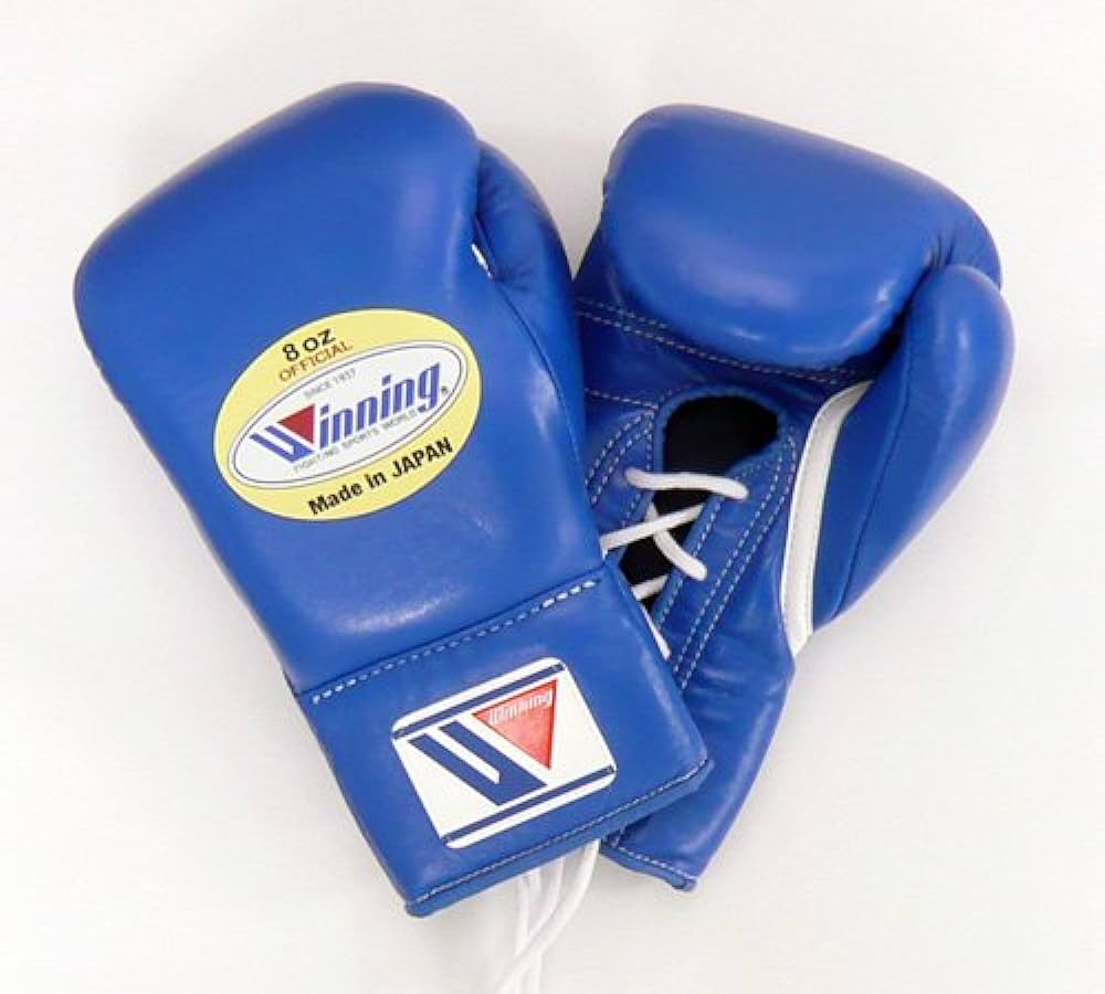 winning boxing gloves