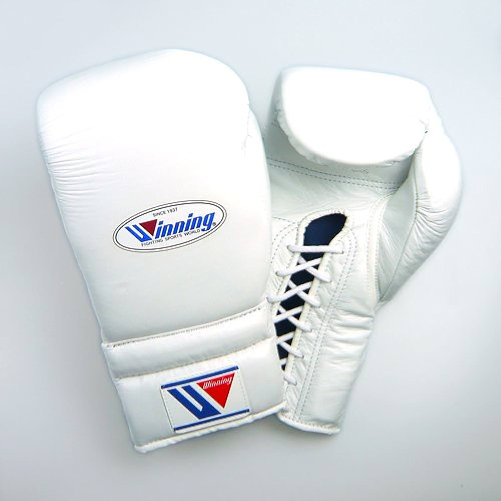 winning boxing gloves