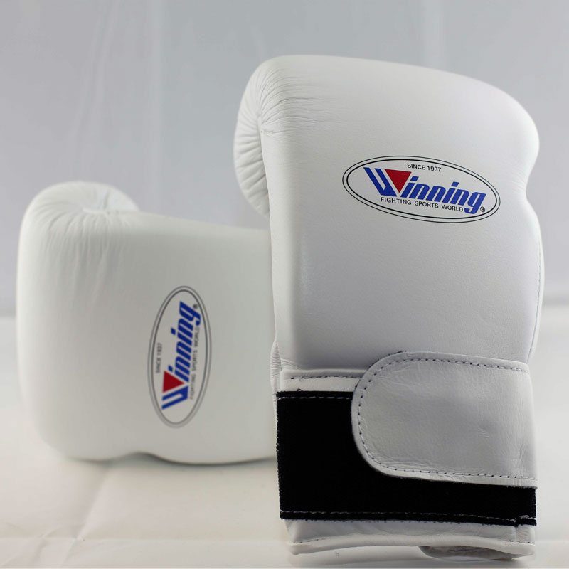 winning boxing gloves